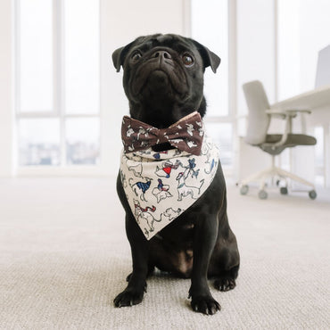 Radley London Off on an Adventure Dog Bow Tie