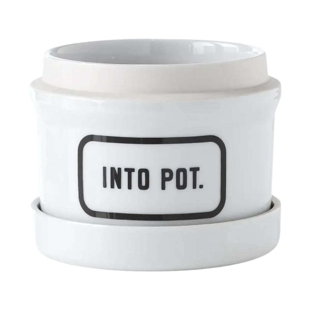 Brass Monkey – Into Pot Planter