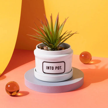 Brass Monkey – Into Pot Planter