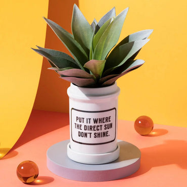 Put It Where The Sun Don’t Shine Planter