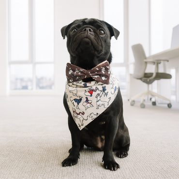 Radley London Off On An Adventure Dog Bandana