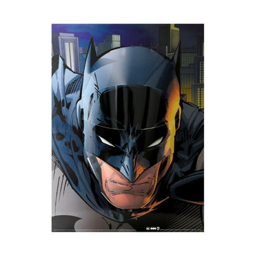 DC Comics Batman 3D PopHeads Poster