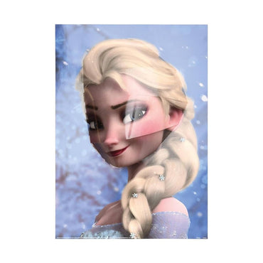 Disney Frozen Elsa 3D PopHeads Poster