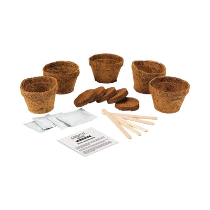 Grow It Grow Your Own Funky Fruit Kit