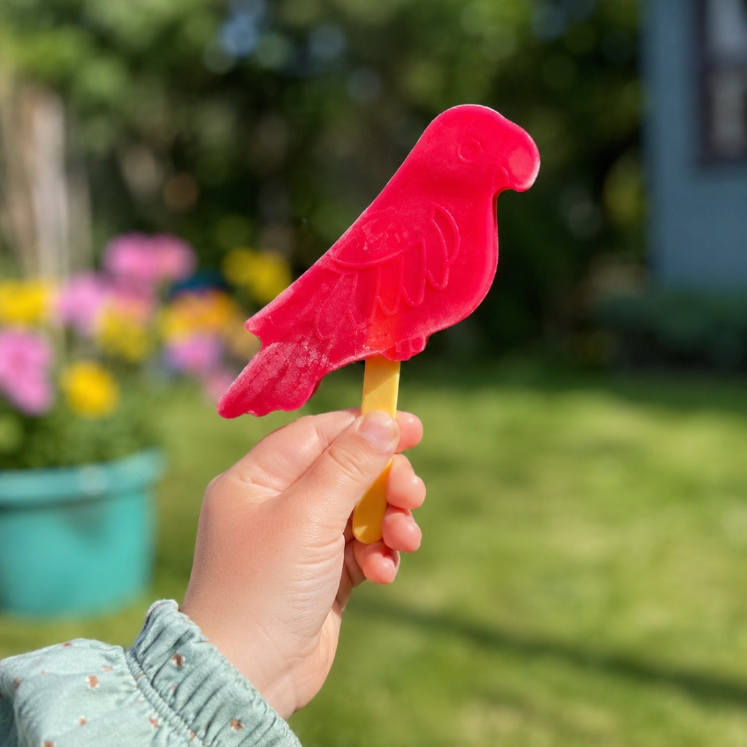 Parrot Ice Lolly Popsicle Mould Set