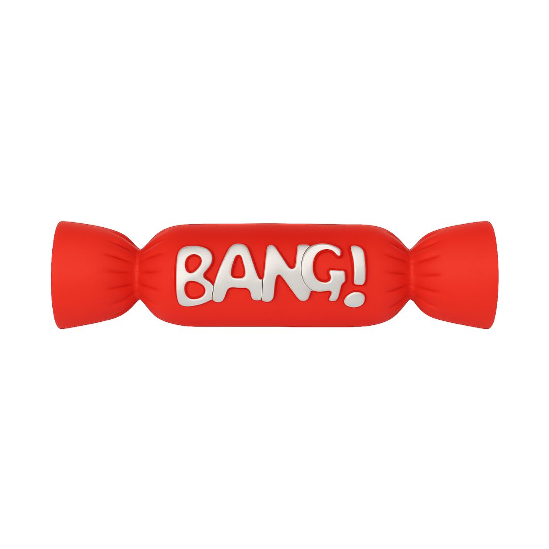 Paws Behavin’ Badly Bang Squeak Xmas Cracker Dog Toy