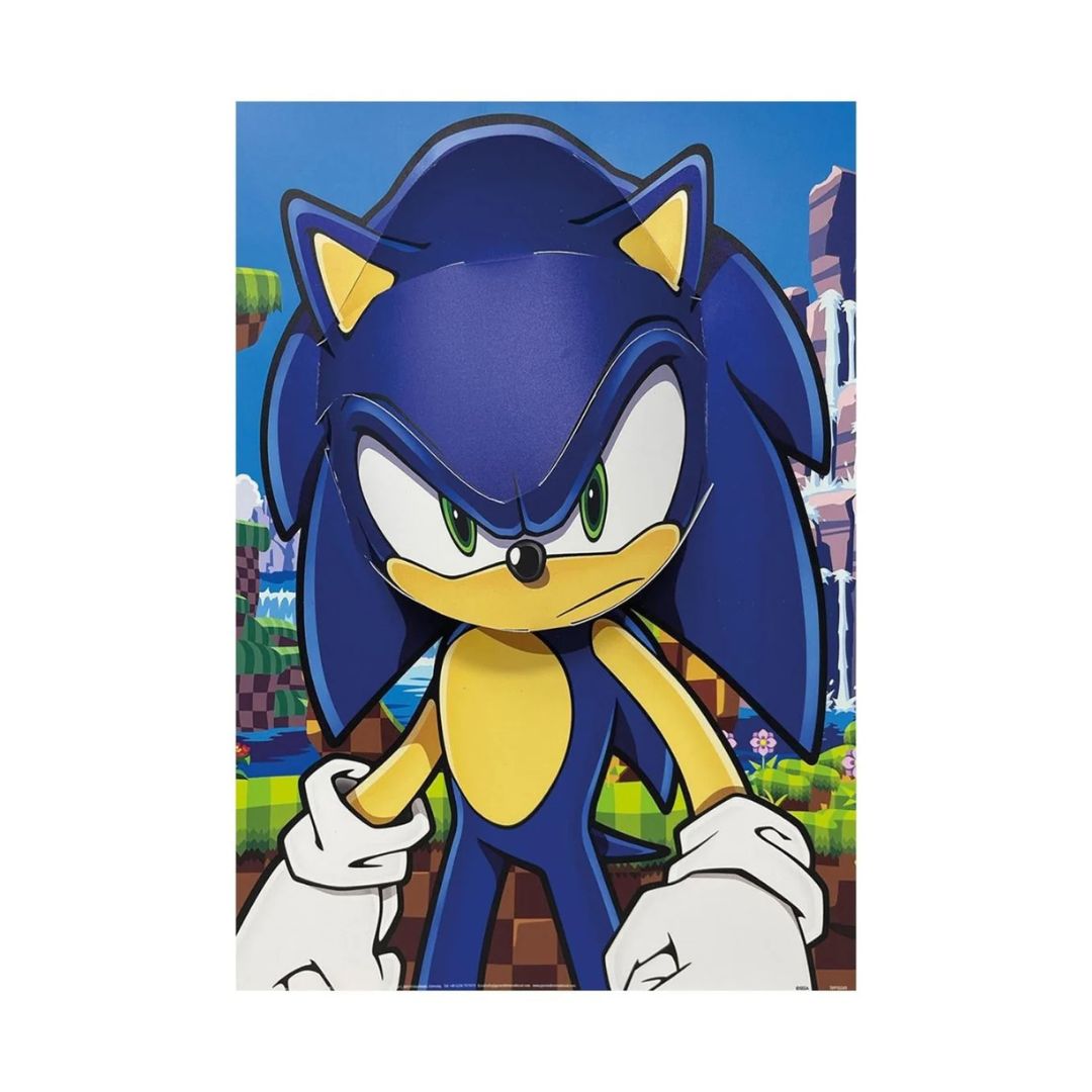 Sonic The Hedgehog 3D PopHeads Poster